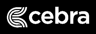Cebra agencia de marketing digital