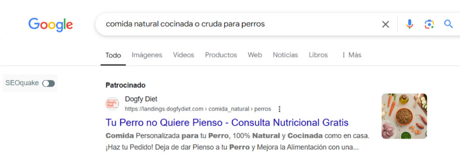 Ejemplo anuncio PPC Google